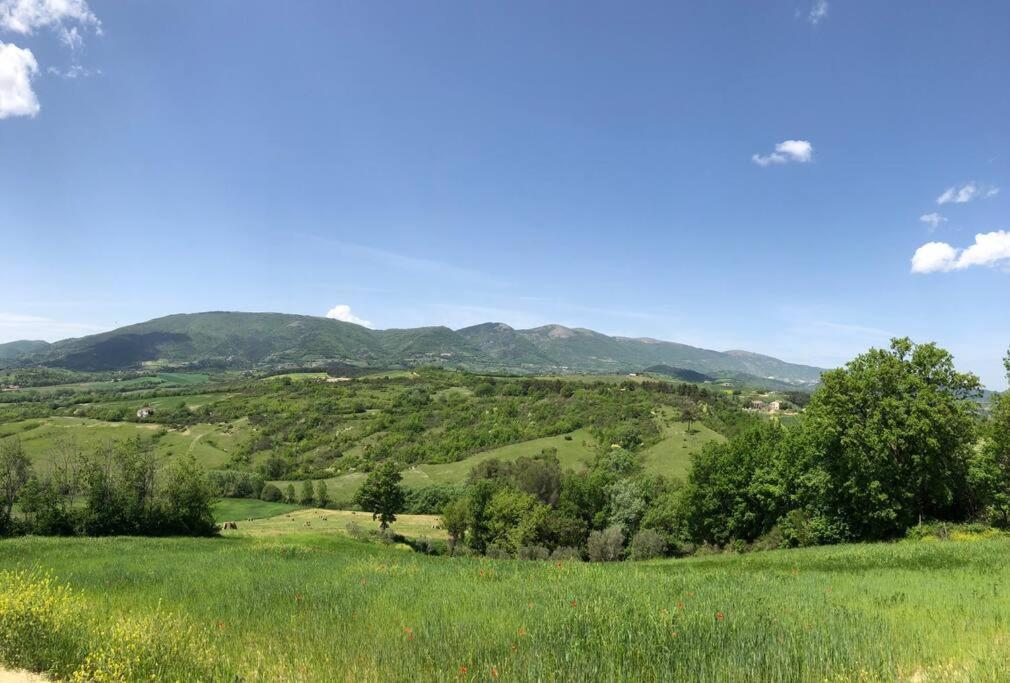 Casa Vacanze Vecchio Frantoio Residenza Leccino Сполето Екстер'єр фото