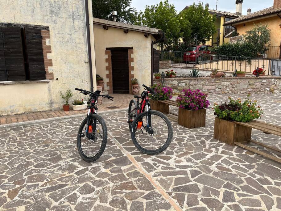 Casa Vacanze Vecchio Frantoio Residenza Leccino Сполето Екстер'єр фото